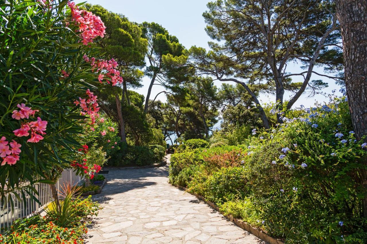 הייר Parc Et Residence Le Provencal מראה חיצוני תמונה